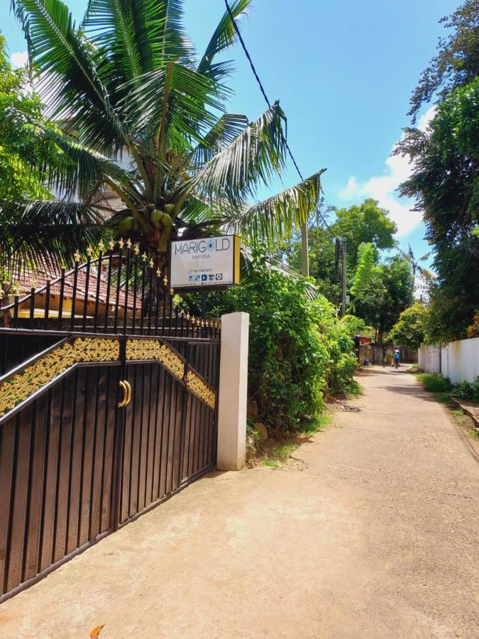 Merigold House Mirissa - B&B