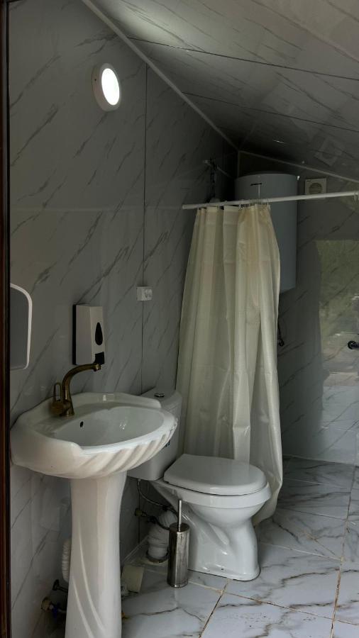 Yurt camp TILEK - B&B