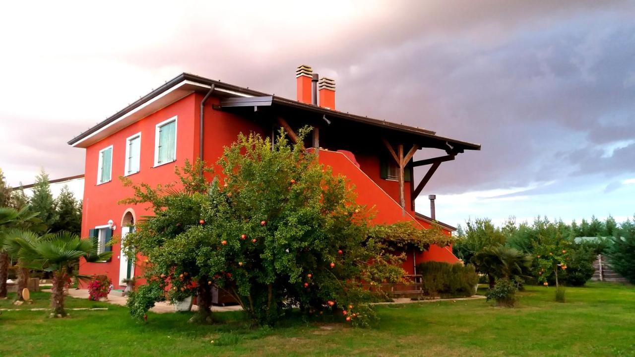 Agriturismo Adriano Pedretti - B&B Badia Polesine