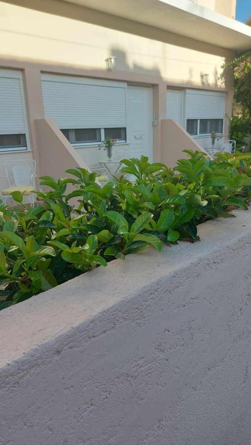 NN Rooms and Suites near Athens Airport - Ferienwohnung