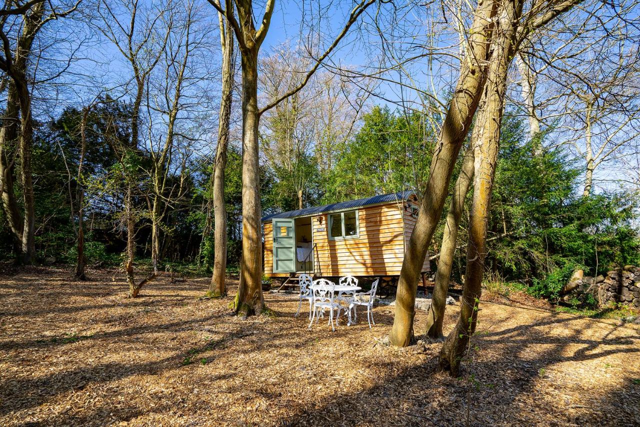 White Hill Shepherd's Hut - Ferienwohnung