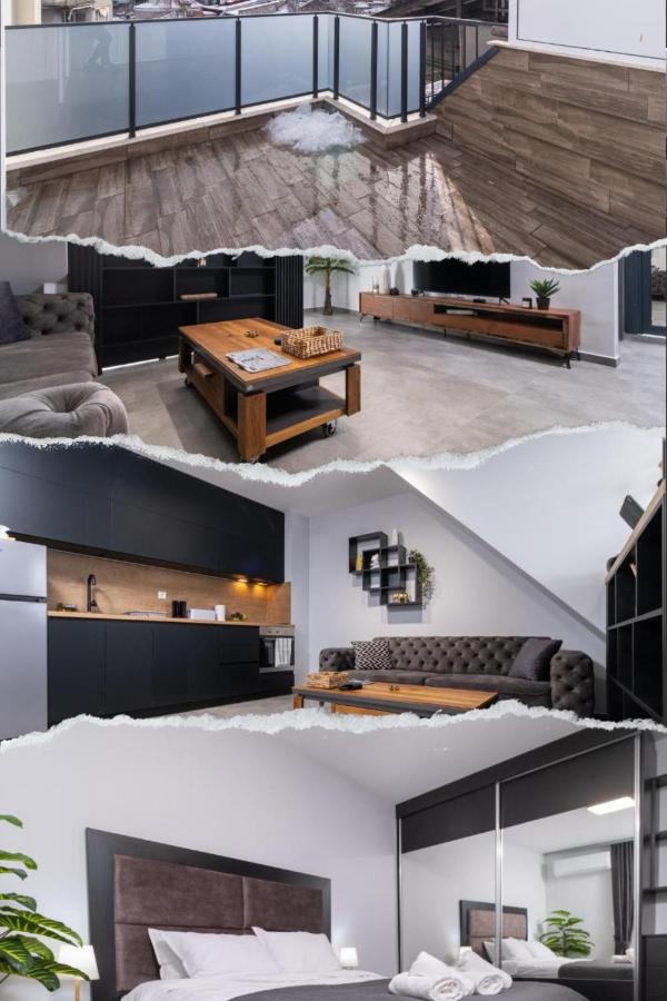 Appartement 1 Chambre