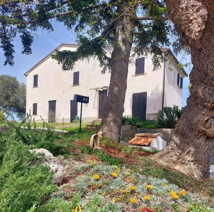 Grazioso cottage di campagna - Chambres d’hôtes