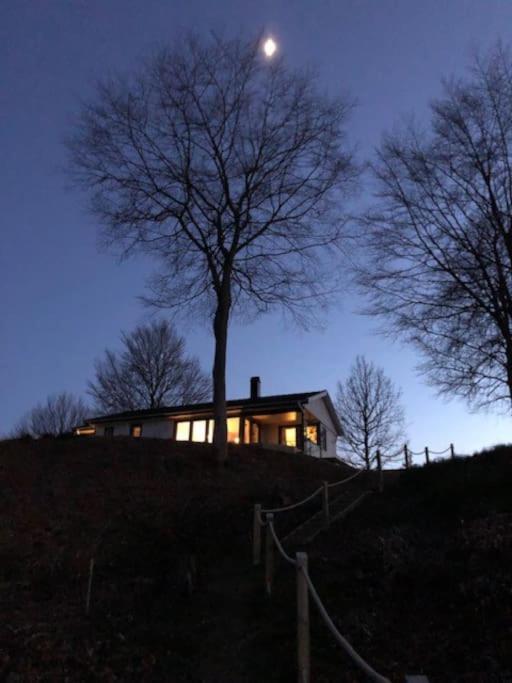 Modern stuga med strandtomt - Bed and Breakfast Vittsjö