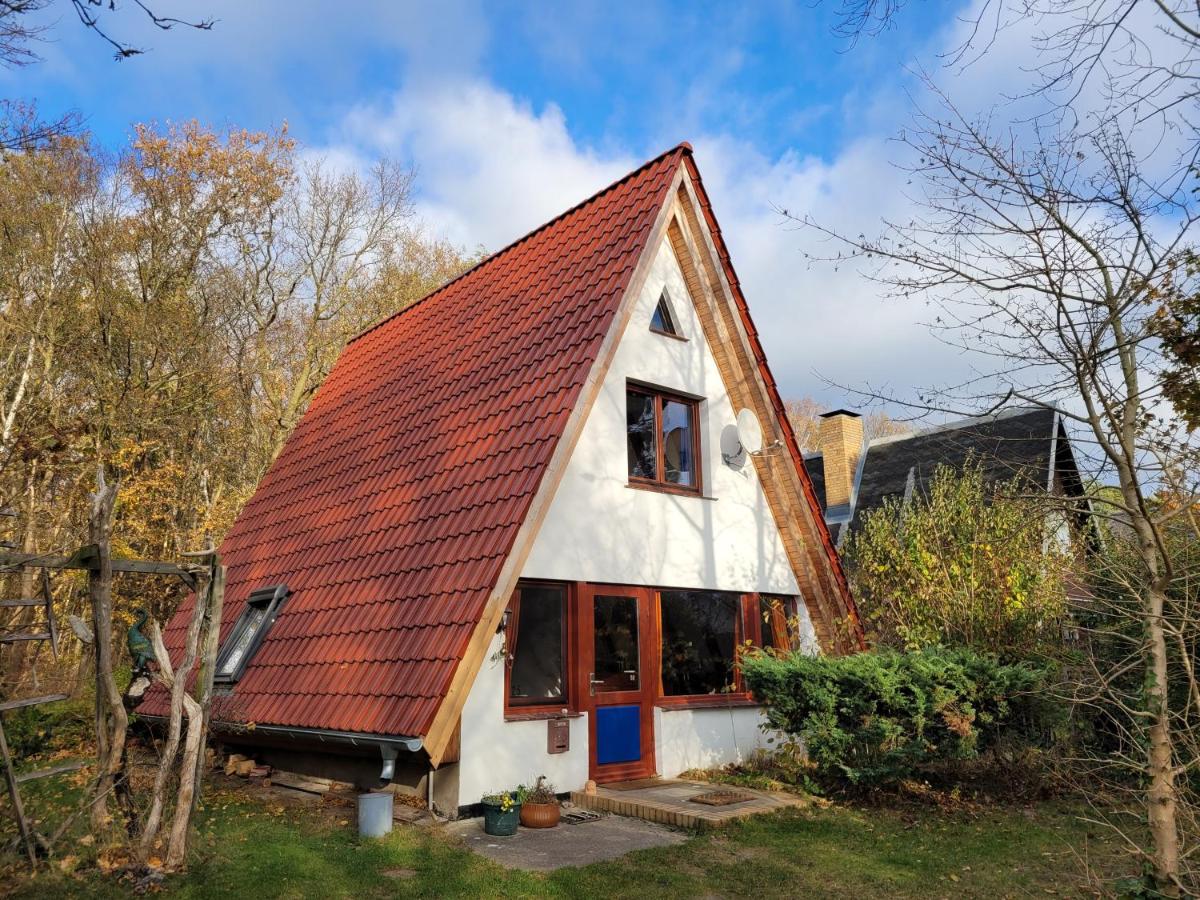 Ferienhaus-Fischlandde Grünbaum Ahrenshoop - Chambres d’hôtes Ostseebad Ahrenshoop