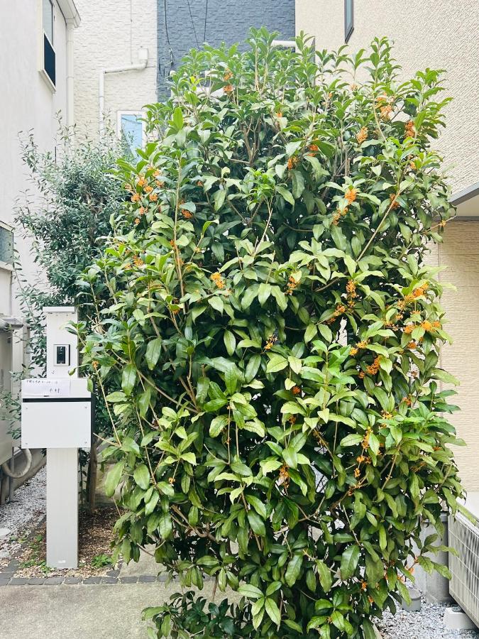 Shinkanano Kimura House - 新中野木村屋 - B&B Tokio