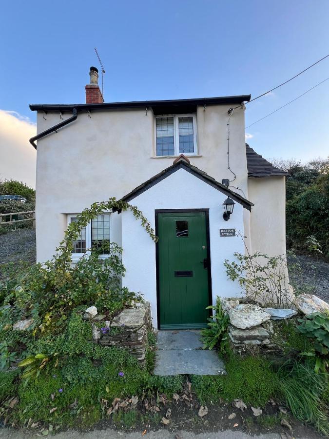 Rosebank Cottage - Ferienwohnung