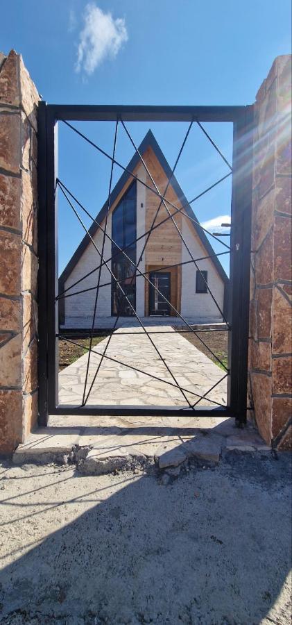 Lux house Aleksa - B&B