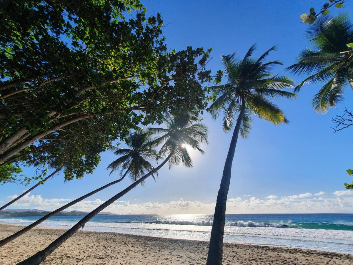 Plage de l'Anse Caritan à 300m T2 spacieux avec terrasse - B&B Sainte-Anne