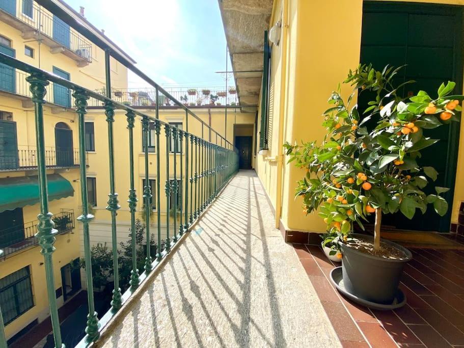 Casa Bocconi, Navigli, Porta Romana, Milano - B&B Milano