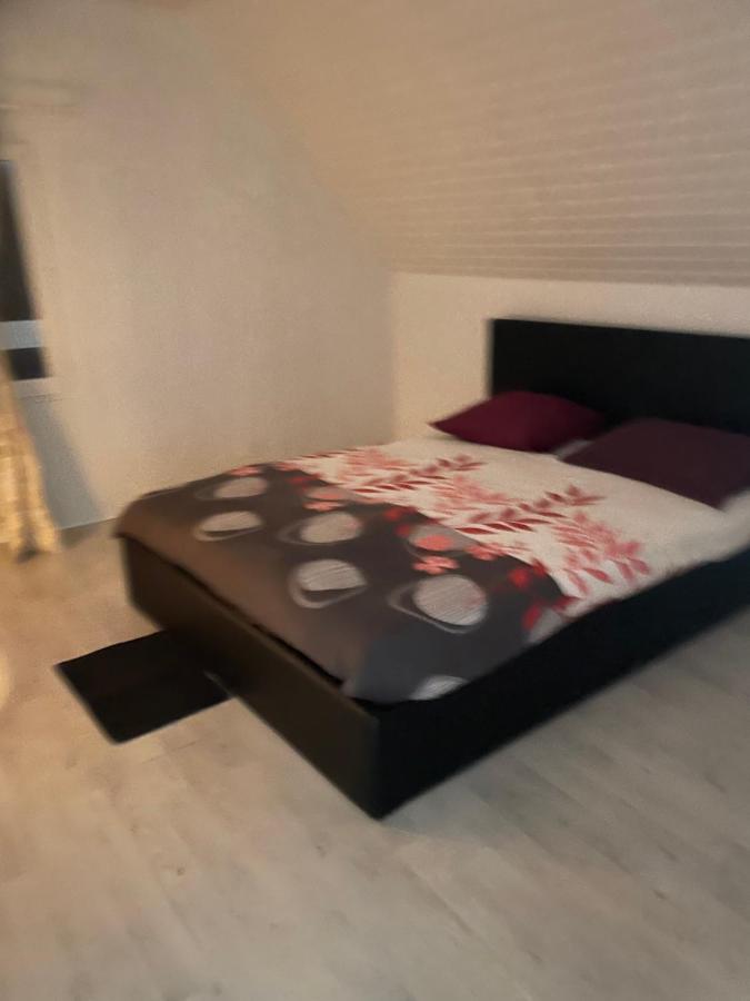 Belle maison à proximité de Château de Versailles avec parking - B&B Plaisir