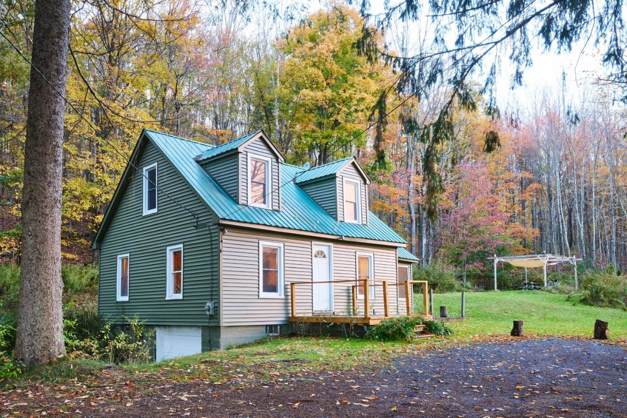 Cozy Cottage with Jacuzzi and Fire Pit and Reading Nook! - B&B