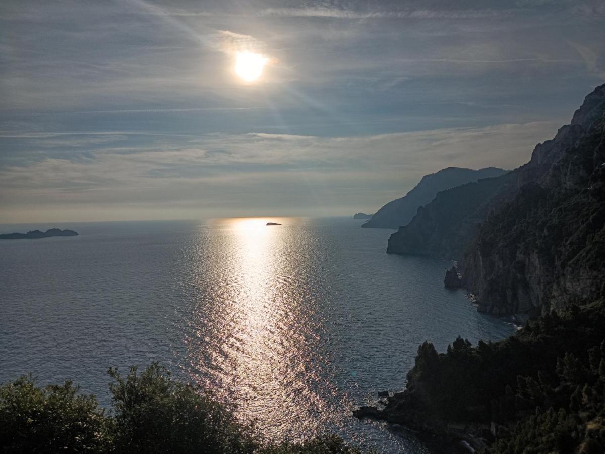 Amalfi Coast, Positano, Sorrento, Capri, Garden, Villa Carcara - B&B Colli di Fontanelle
