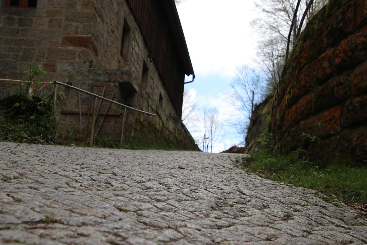 Rathewalder Mühle - B&B Rathewalde