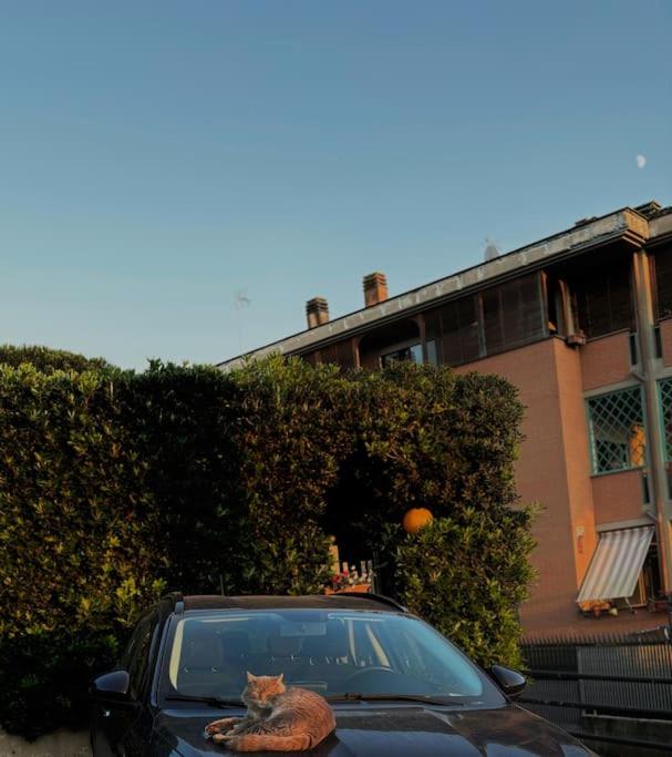 Sweet Escape Roma - B&B