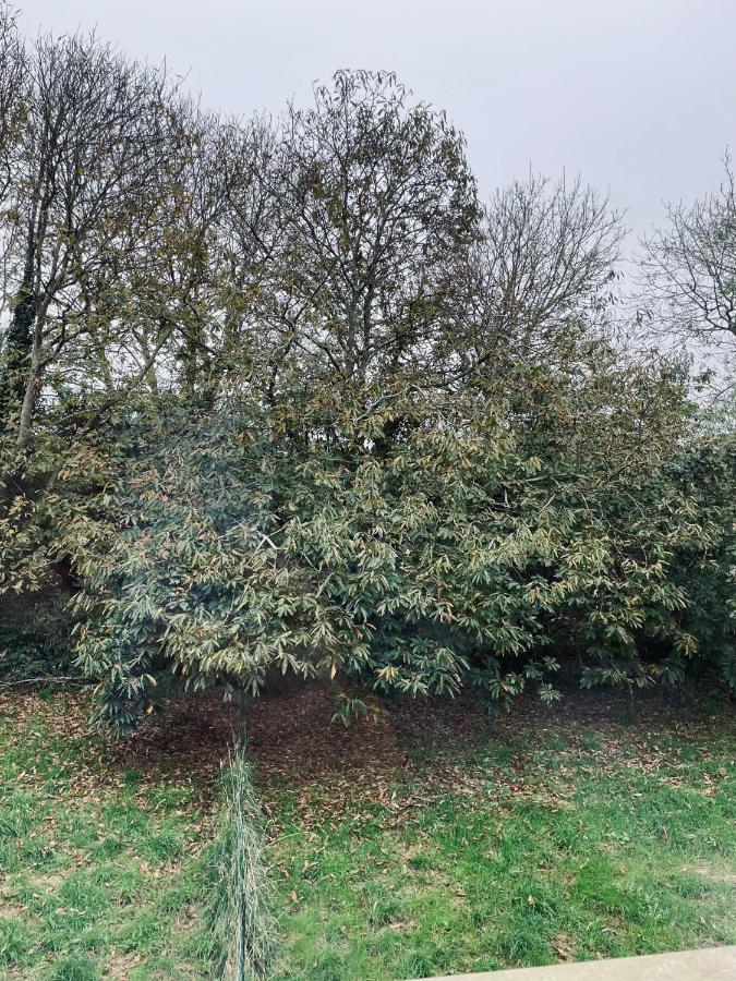 Capstay Plouzané - Ferienwohnung Plouzané