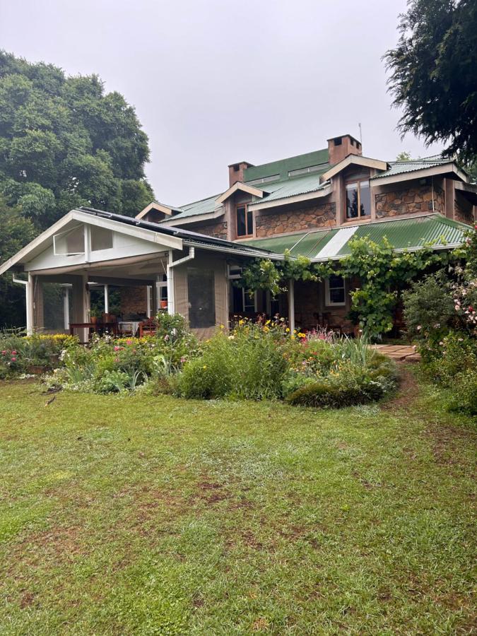 King Room with Garden View