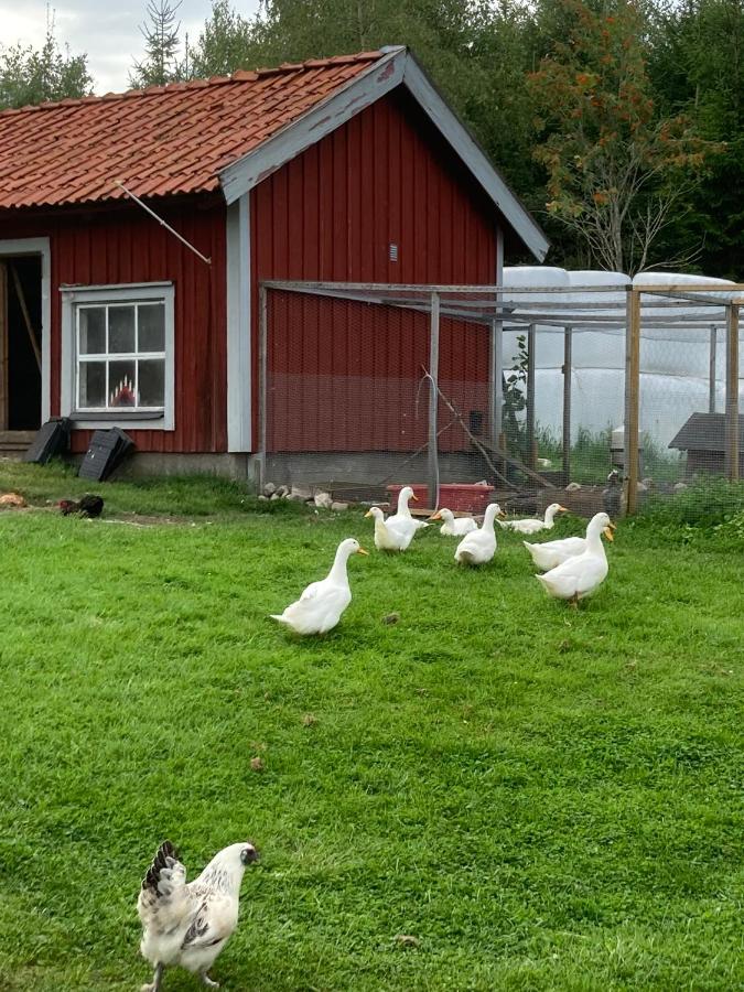 Täppans B&B - B&B Ålberga