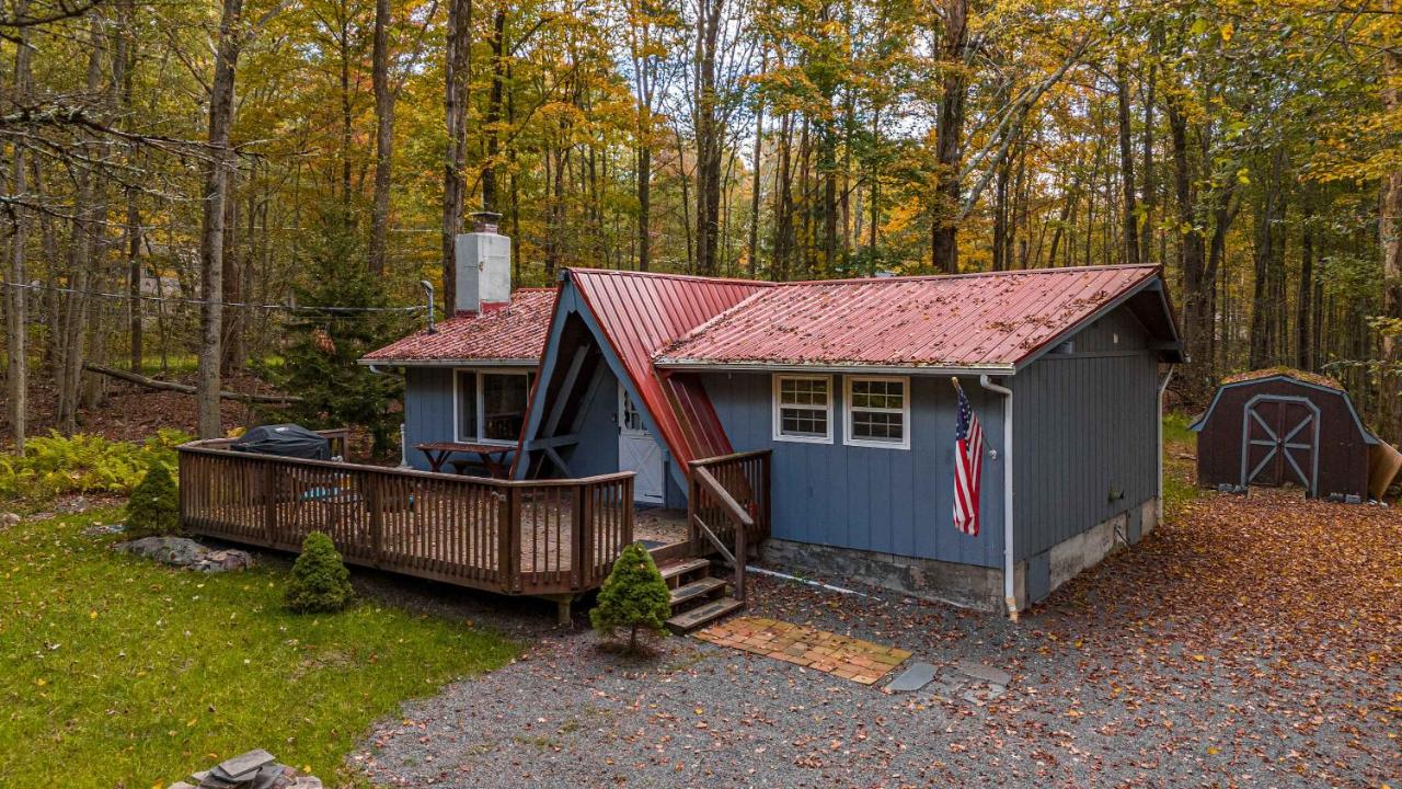 Hot Tub Fire Pit Dog Friendly - B&B Pocono Lake