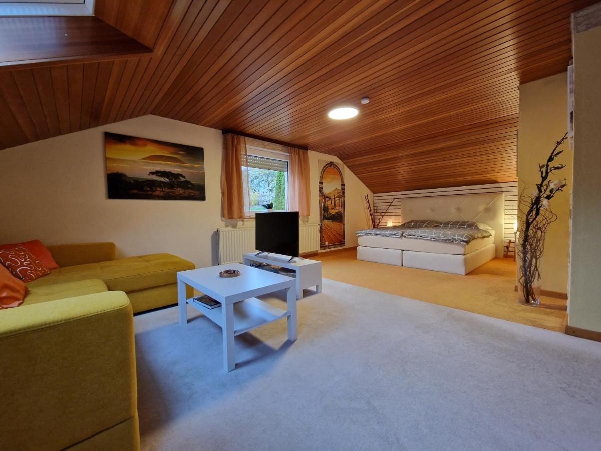 Marburg Apartment geräumiger Lukas in ruhiger Waldrandlage mit Wintergarten - B&B