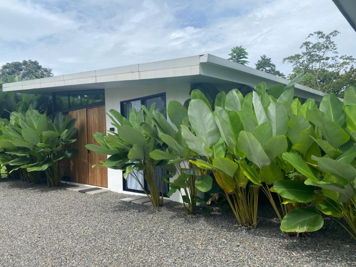 Toucan home - B&B
