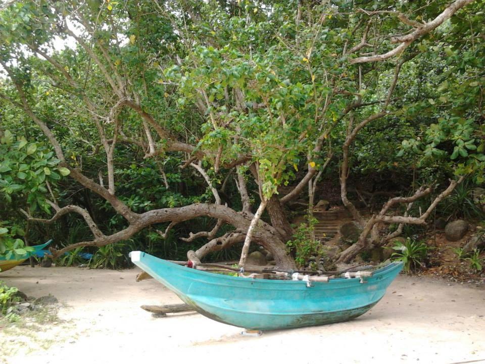 Sleepy Head Guesthouse - Chambres d’hôtes Unawatuna