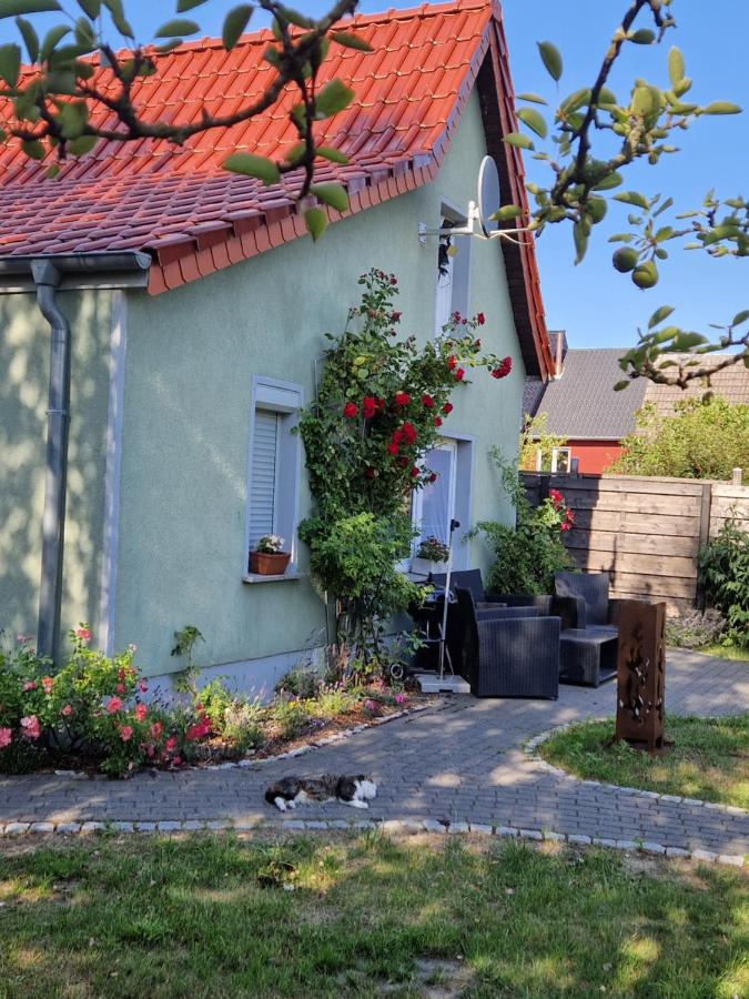Marin - B&B