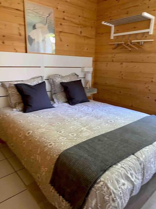 Appartement Etoile d'Argent, Fabulous Location, Garden, WIFI, Bike storage - B&B Allemond