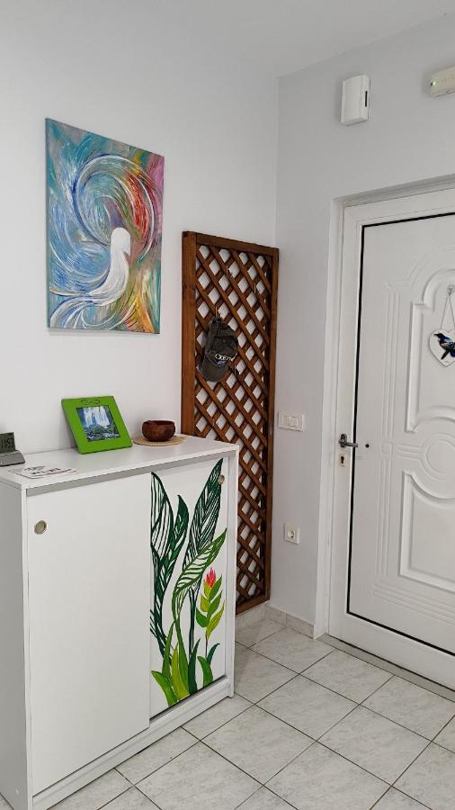 Cute and Comfy Apartment - B&B