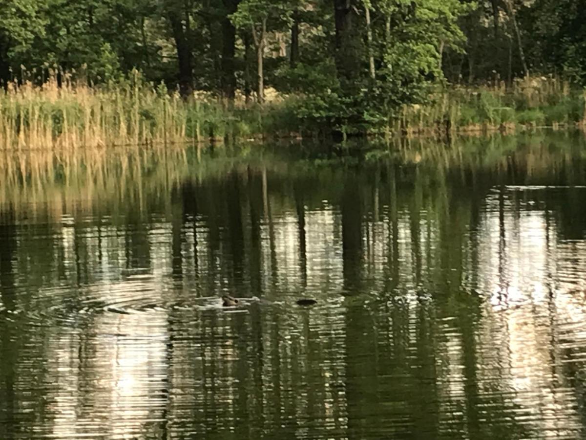 Ferienwohnung Ortrand - Pension - B&B Ortrand