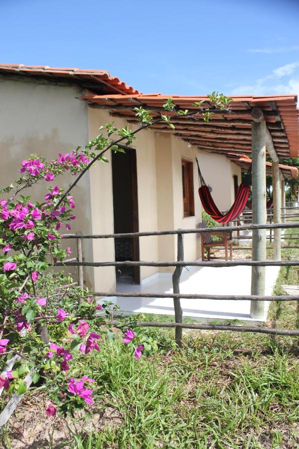 Flor da Mata- Ilha das Canárias - B&B