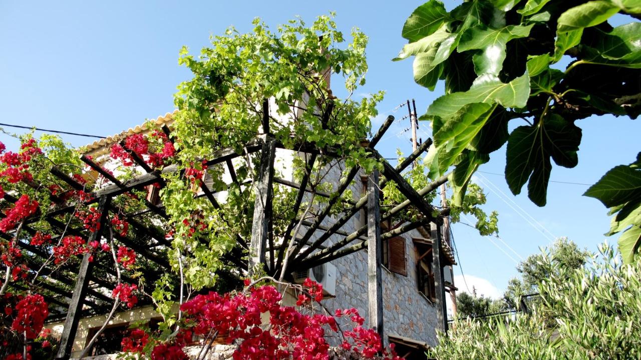Papanestoras Apartments - Bed and Breakfast