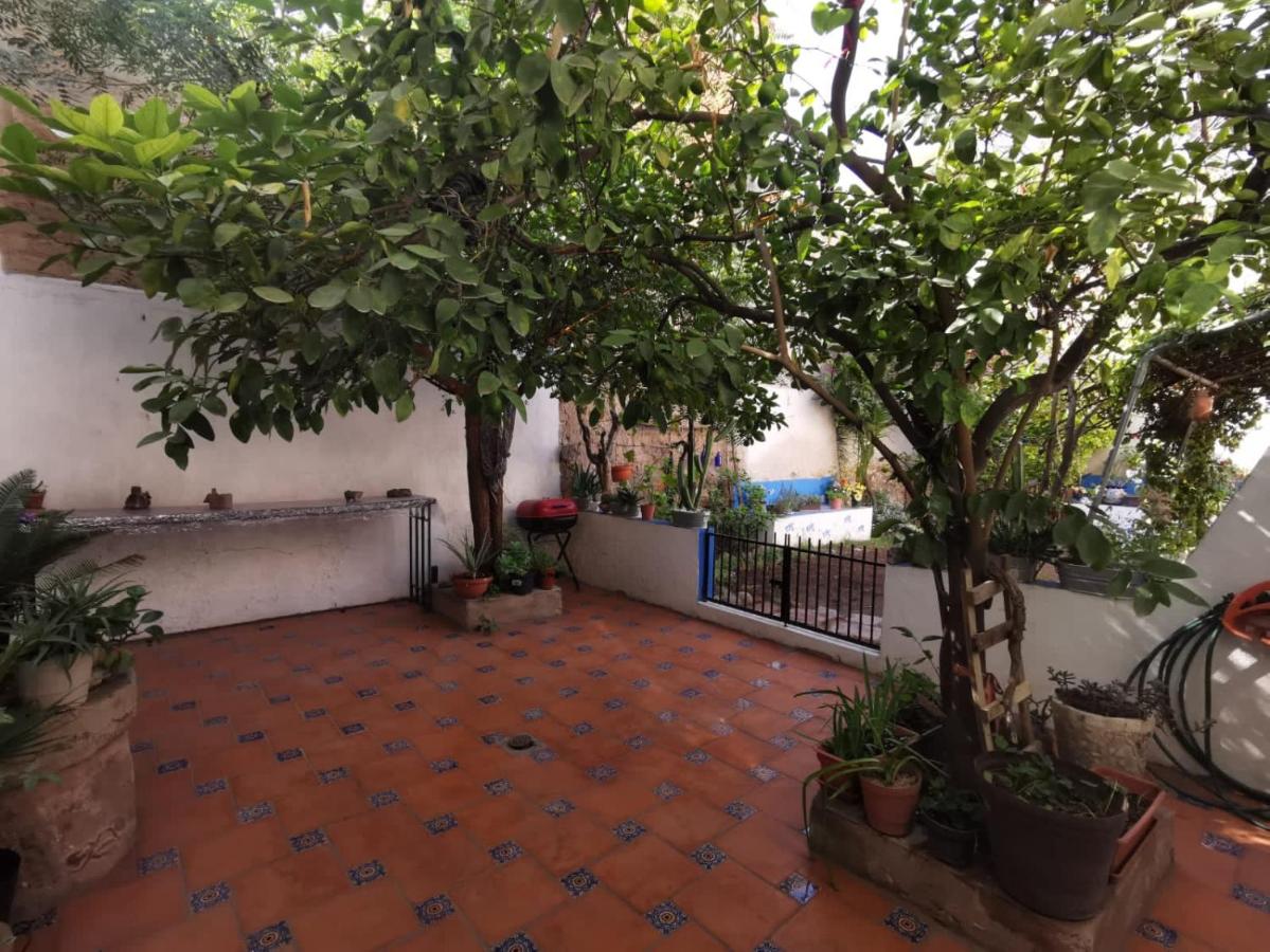 Casa Galeria Colibri - B&B