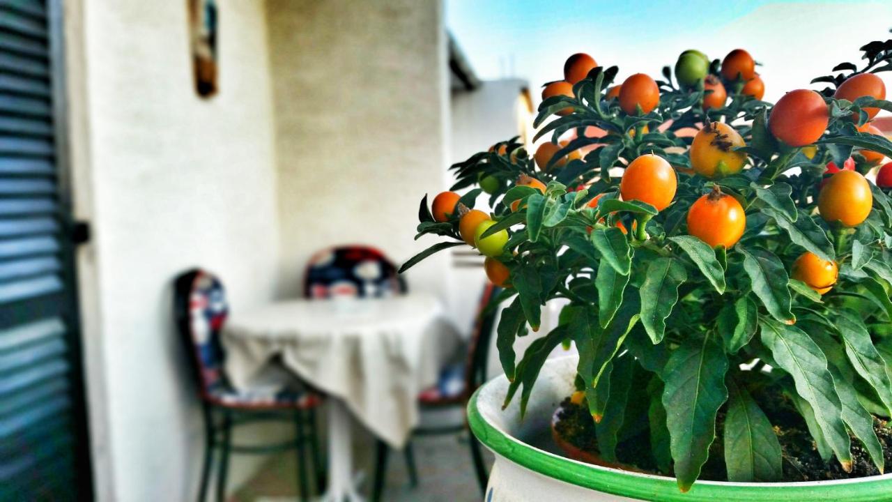 Stela 1 - B&B Povljana