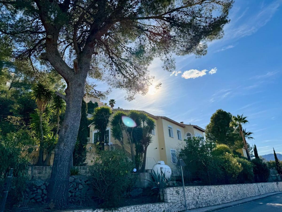 Villa Amarilis - Bed and Breakfast Casas Albardanera