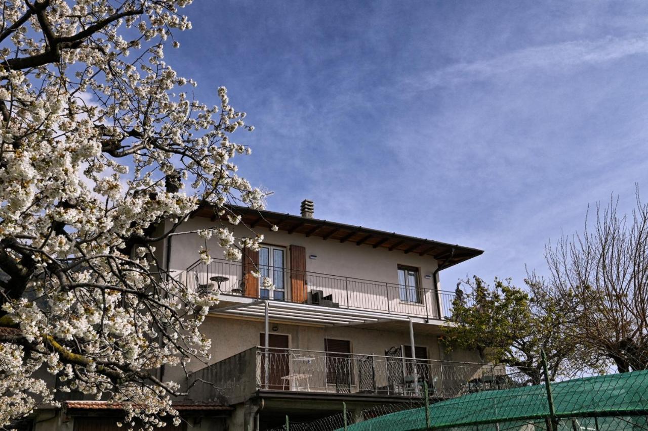 Appartamento Orizzonte - Theater Home - Chambres d’hôtes