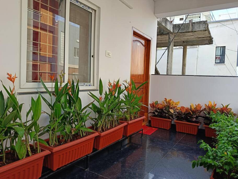 Casa Verde - 2BHK,Near US Embassy, Gachibowli - B&B