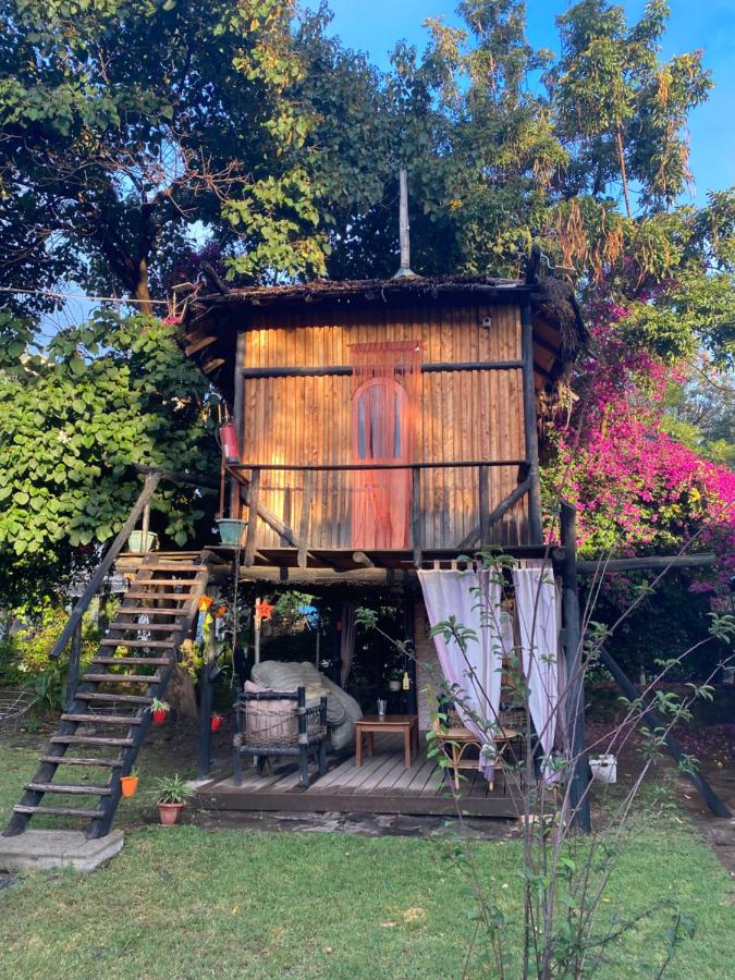 Cottage with Garden View