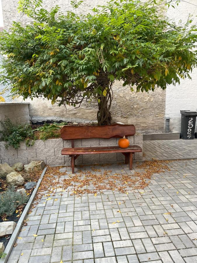 Apartmán MUV - B&B Mělník