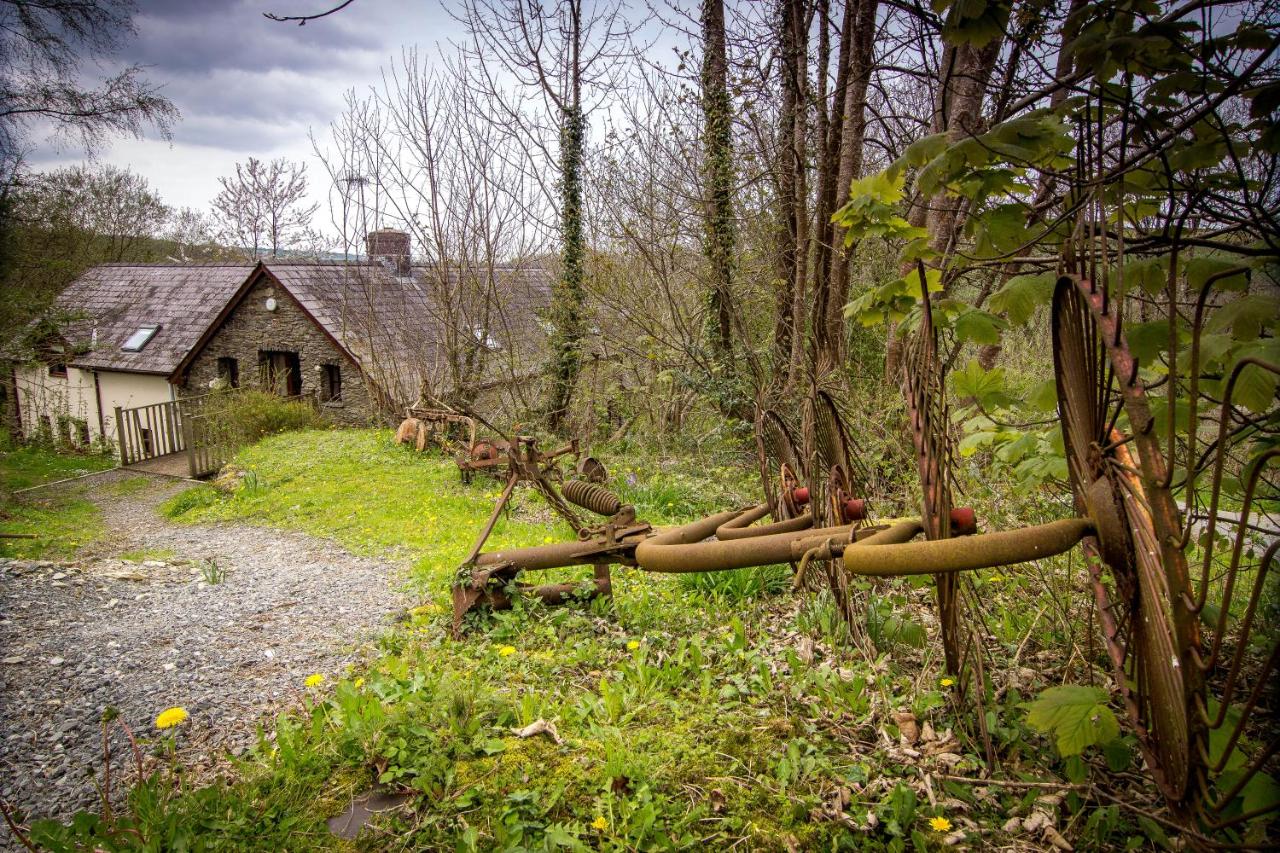 Ceridwen Holiday Homes - Ferienwohnung