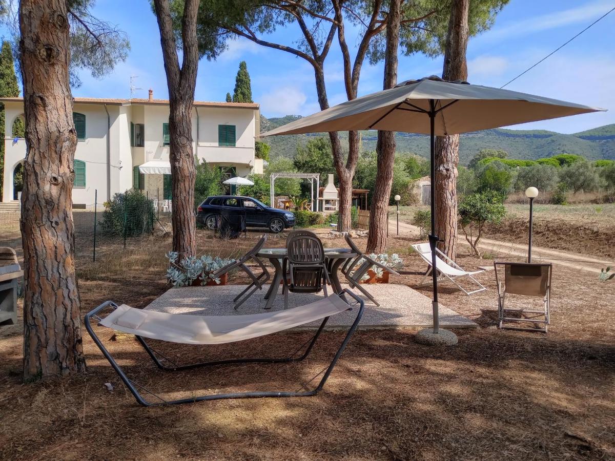 Riccio di Mare - B&B