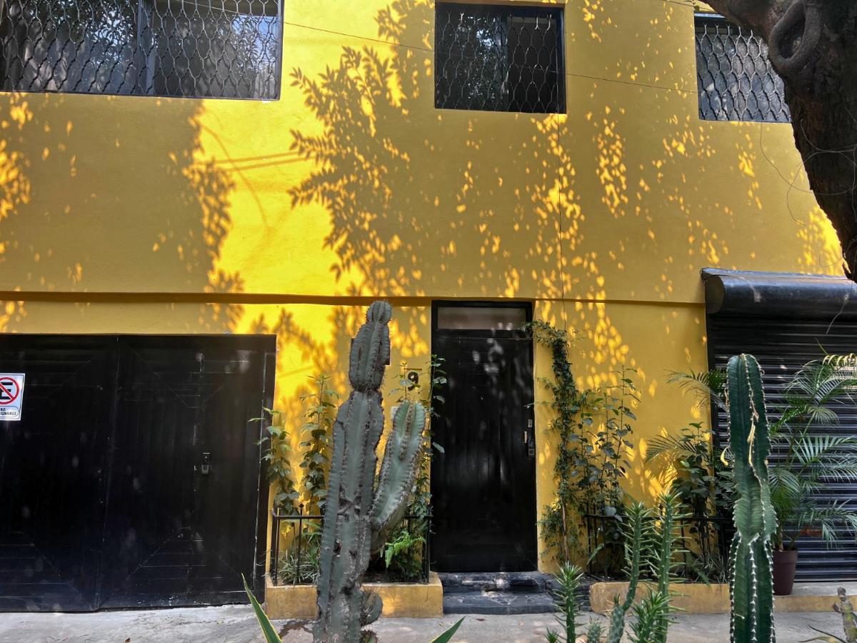 Discover Condesa Ideal Location - B&B