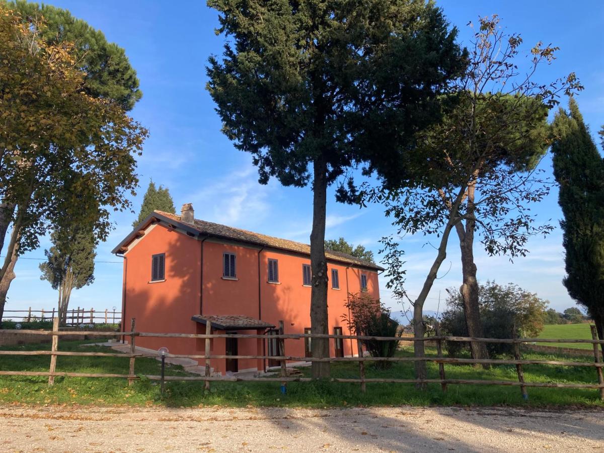 Azienda Agricola il Borgo di Sant'Elia - B&B Castel Sant'Elia