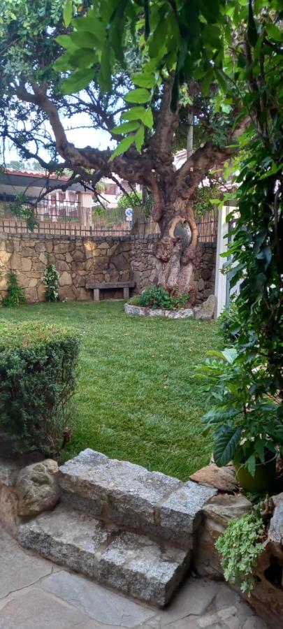 Il Glicine - B&B