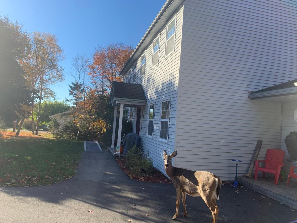 Deer Paradise in Quispamsis near Saint John - B&B