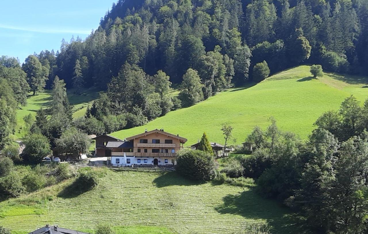 Selauerbauer - Ferienwohnung Lofer