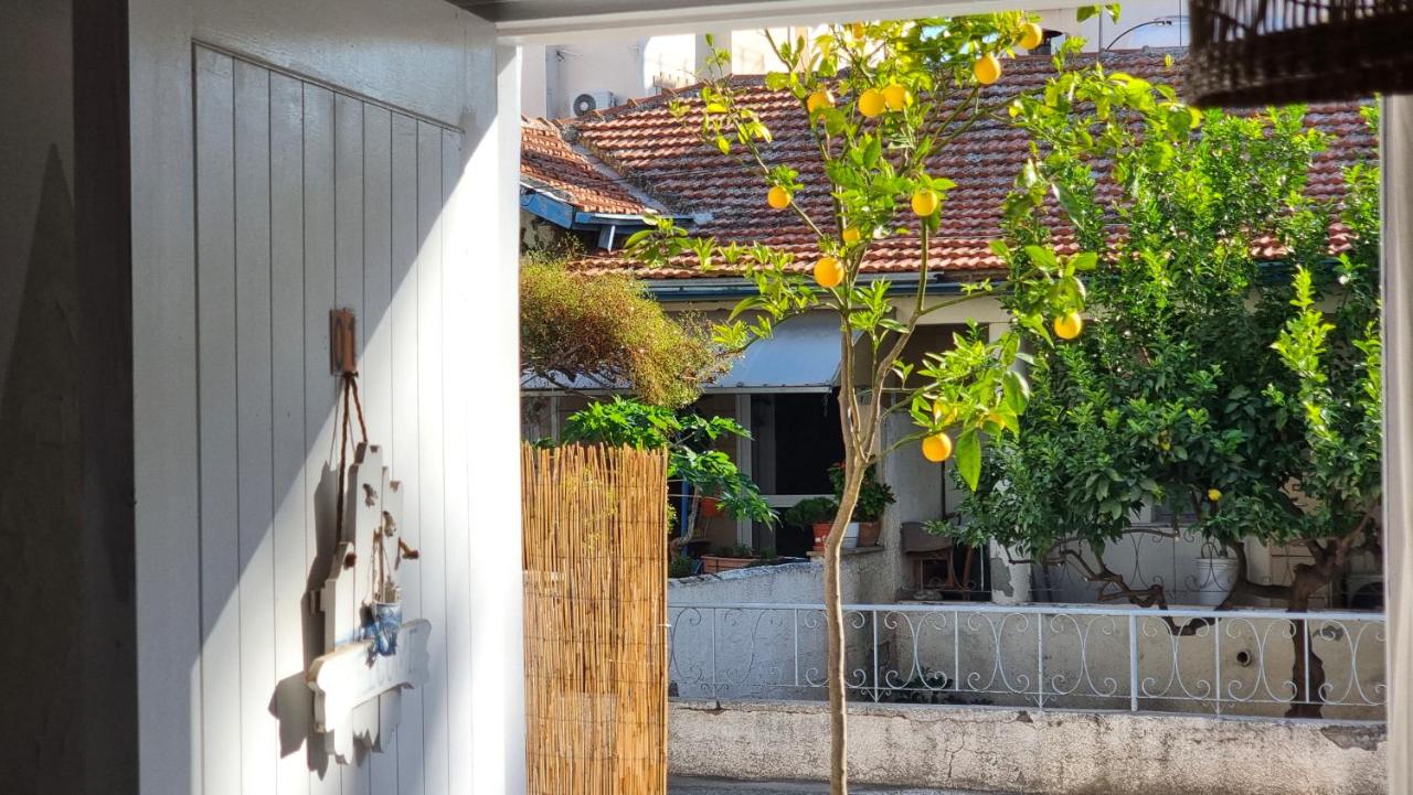 Boho Greek Haven with Orange Grove Views Near Beach - B&B