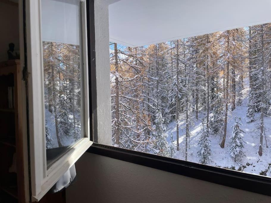 Studio chaleureux 25m2 100m du centre 3-4 personnes 3 adultes max - B&B