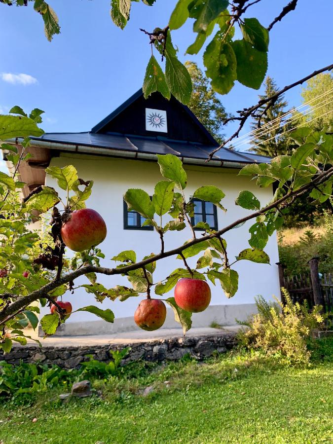 ALCHYMISTA MINING HOUSE - B&B Špania Dolina
