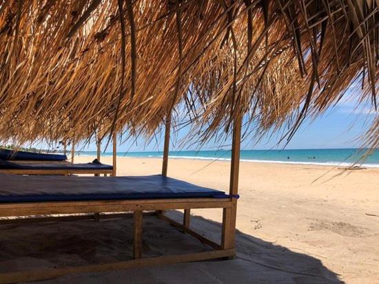 vitamin Sea beach cottage - B&B